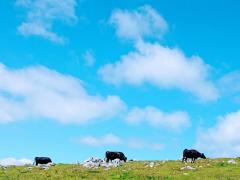 �������̽�ù��ξ�ۡ���